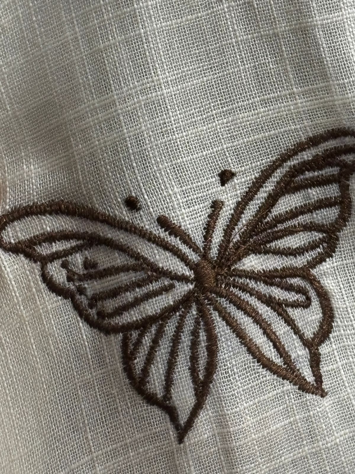 Whispers of Charm Embroidered Cotton Dress